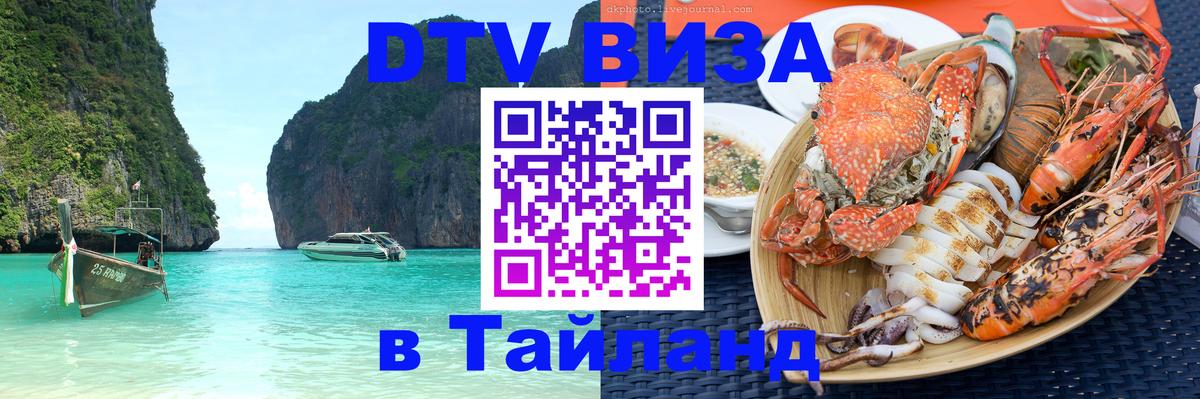 Оформление DTV визы под ключ: стоимость и тарифы, только загранпаспорт - Санкт-Петербург  08.01.2026 